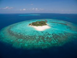 Thulhagiri Island Resort - Maldives. Scuba diving holiday.